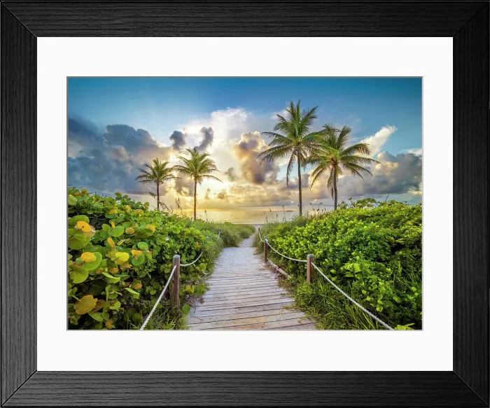 Framed Print : Wooden Path to the Beach surrounded by palm trees, Hollywood Beach, Hollywood, Miami Beach Florida, USA Framed Print : Wooden Path to the Beach surrounded by palm trees, Hollywood Beach, Hollywood, Miami Beach Florida, USA