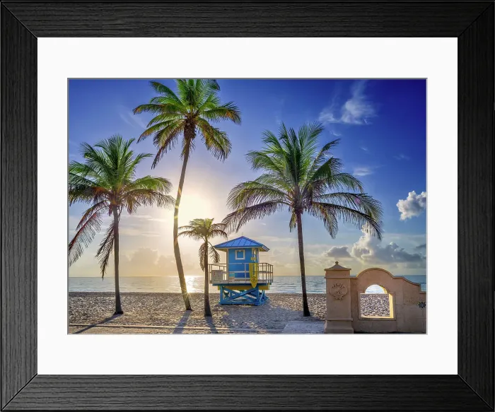 Framed Print : Ligurad Hut surrounded by tropical palm trees, at sunrise Hollywood Beach Hollywood, Miami Beach Florida, USA Framed Print : Ligurad Hut surrounded by tropical palm trees, at sunrise Hollywood Beach Hollywood, Miami Beach Florida, USA