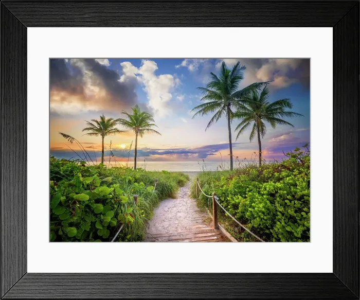Framed Print : Wooden Path to the Beach surrounded by tropical palm trees, at sunrise Hollywood Beach Hollywood, Miami Beach Florida, USA Framed Print : Wooden Path to the Beach surrounded by tropical palm trees, at sunrise Hollywood Beach Hollywood, Miami Beach Florida, USA