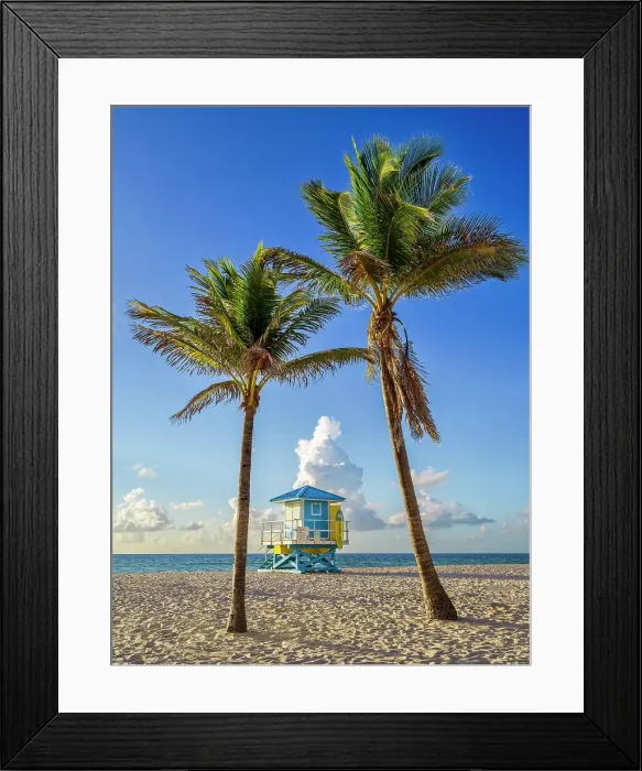 Framed Print : Lifeguardhouse framed by palm trees Hollywood Beach Hollywood Miami, South Florida, USA Framed Print : Lifeguardhouse framed by palm trees Hollywood Beach Hollywood Miami, South Florida, USA