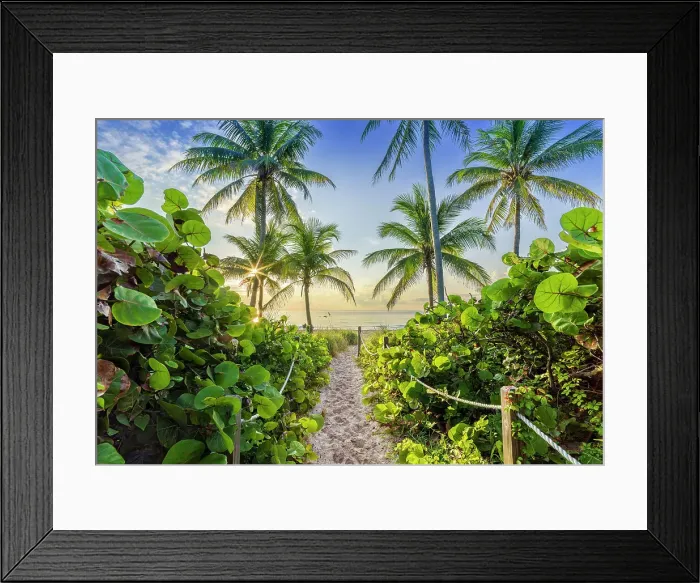Framed Print : Sandy Path to the Beach surrounded by tropical palm trees, at sunrise Hollywood Beach Hollywood, Miami Beach Florida, USA Framed Print : Sandy Path to the Beach surrounded by tropical palm trees, at sunrise Hollywood Beach Hollywood, Miami Beach Florida, USA