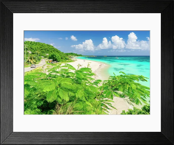 Framed Print : Lush tropical trees on a coastal road overlooking the white sand of Darkwood Beach, Antigua, Antigua & Barbuda, Caribbean