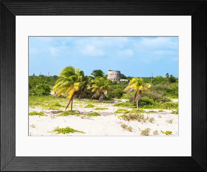 Framed Print : Old sugar mill near a palm fringed beach, Barbuda, Antigua & Barbuda, Caribbean, West Indies