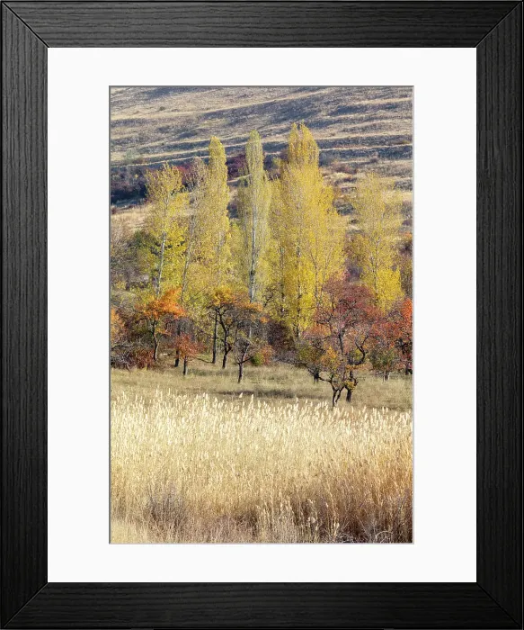Framed Print : Landscape in the autumn, Armenia Framed Print : Landscape in the autumn, Armenia