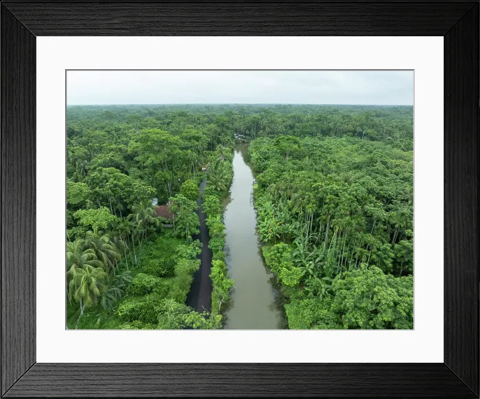 Framed Print : Aerial view of a boat sailing at floating guava garden with beautiful green landscape in Pirojpur, Barisal, Bangladesh