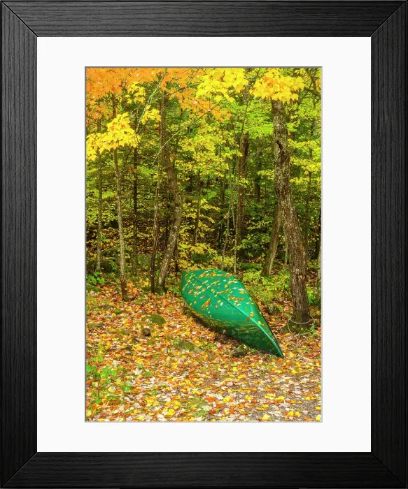 Framed Print : Autumn hardwood leaves covering a canoe, Algonquin Provincial Park, Ontario, Canada Framed Print : Autumn hardwood leaves covering a canoe, Algonquin Provincial Park, Ontario, Canada
