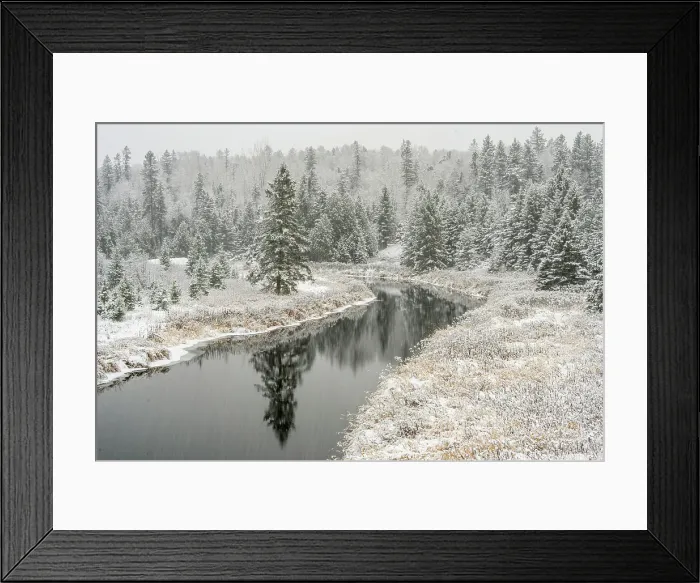 Framed Print : Fresh snow on Junction Creek shoreline trees, Greater Sudbury, Ontario, Canada Framed Print : Fresh snow on Junction Creek shoreline trees, Greater Sudbury, Ontario, Canada