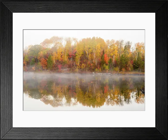 Framed Print : Autumn trees on the shore of St. Pothier Lake in fog, Greater Sudbury, Ontario, Canada Framed Print : Autumn trees on the shore of St. Pothier Lake in fog, Greater Sudbury, Ontario, Canada