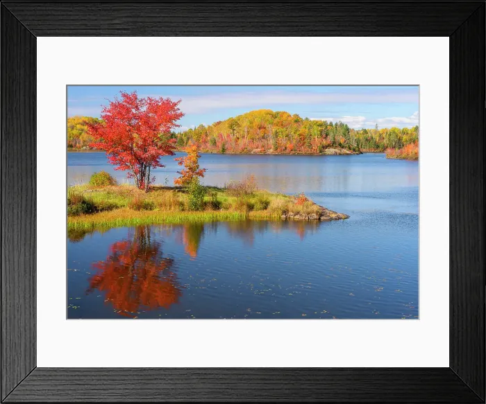 Framed Print : Autumn trees on the shore of St. Pothier Lake, Greater Sudbury, Ontario, Canada Framed Print : Autumn trees on the shore of St. Pothier Lake, Greater Sudbury, Ontario, Canada