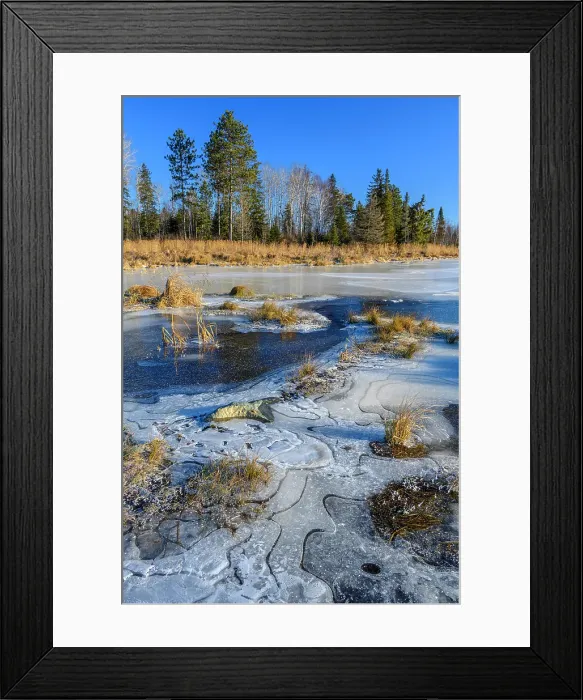 Framed Print : Fresh ice and frost in a beaver pond at freeze-up, Greater Sudbury, Ontario, Canada Framed Print : Fresh ice and frost in a beaver pond at freeze-up, Greater Sudbury, Ontario, Canada
