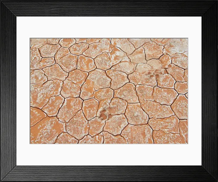 Framed Print : Salt flats at Grosbeak Lake- Patterns in cracked mud with salt deposits and ungulate track, Wood Buffalo National Park, Albert, Canada