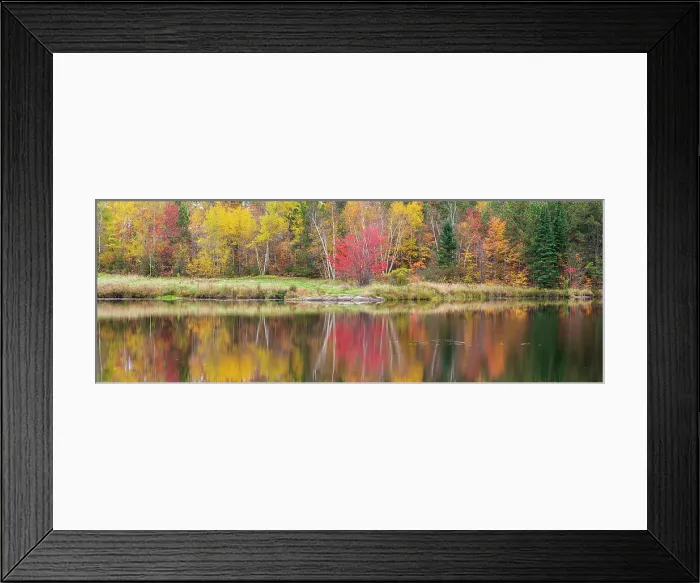 Framed Print : Autumn colour in a birch, aspen, maple mixed hardwood woodland reflected in St. Pothier Lake, Greater Sudbury Walden, Ontario, Canada Framed Print : Autumn colour in a birch, aspen, maple mixed hardwood woodland reflected in St. Pothier Lake, Greater Sudbury Walden, Ontario, Canada