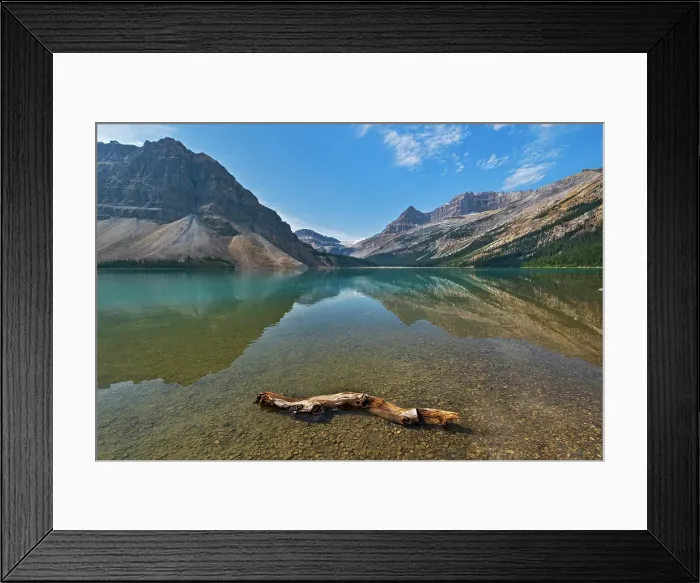 Framed Print : Driftwood and Reflection in Bow Lake. Icefields Parkway. Banff National Park, Alberta, Canada