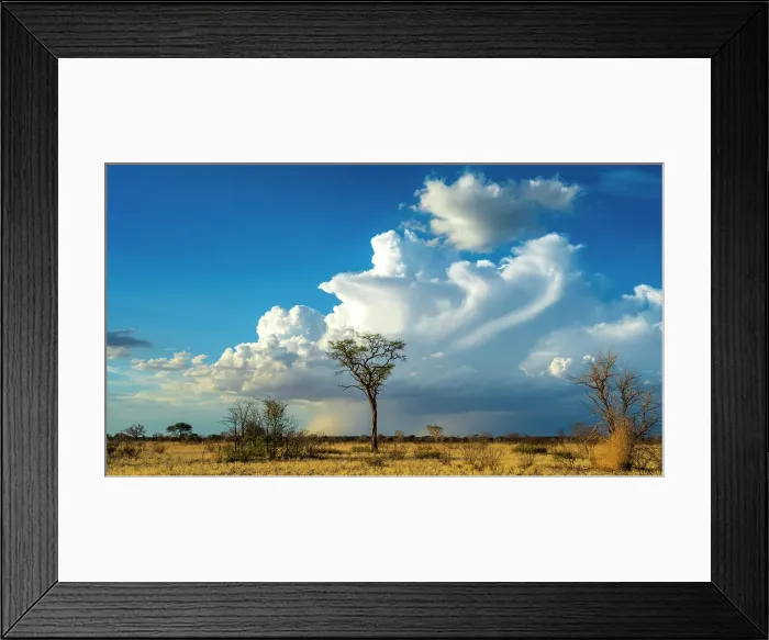 Framed Print : Africa, Botswana, Central Kalahari Game reserve. A big thunderstorm is building up Framed Print : Africa, Botswana, Central Kalahari Game reserve. A big thunderstorm is building up