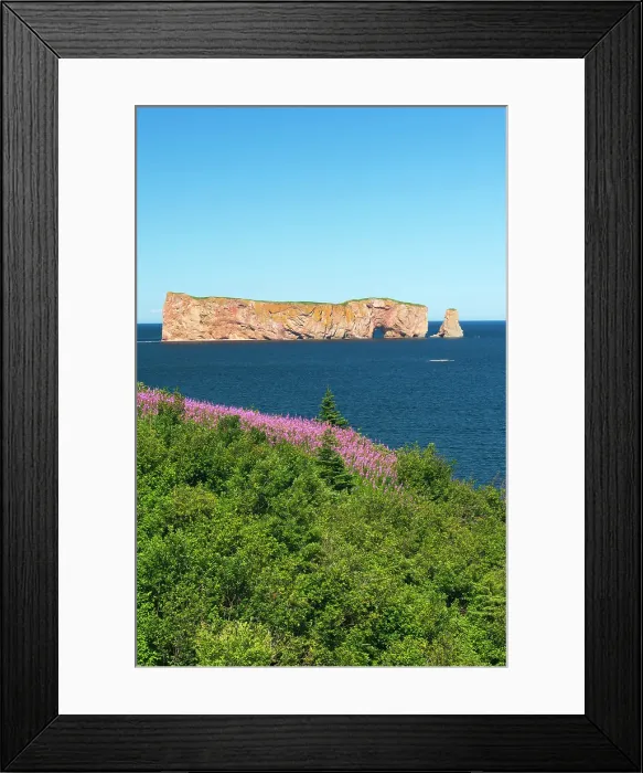 Framed Print : Rocher-Perce (Perce Rock) in the Gulf of St. Lawrence (Atlantic Ocean) and fireweed along the coastline Parc national de l'Ile-Bonaventure-et-du-Rocher-Perce, Quebec, Canada Framed Print : Rocher-Perce (Perce Rock) in the Gulf of St. Lawrence (Atlantic Ocean) and fireweed along the coastline Parc national de l'Ile-Bonaventure-et-du-Rocher-Perce, Quebec, Canada