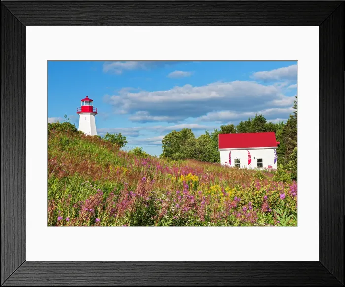 Framed Print : Cap-de-Bon-Desir lighthouse with fireweed Cap-de-Bon-Desir, Quebec, Canada Framed Print : Cap-de-Bon-Desir lighthouse with fireweed Cap-de-Bon-Desir, Quebec, Canada
