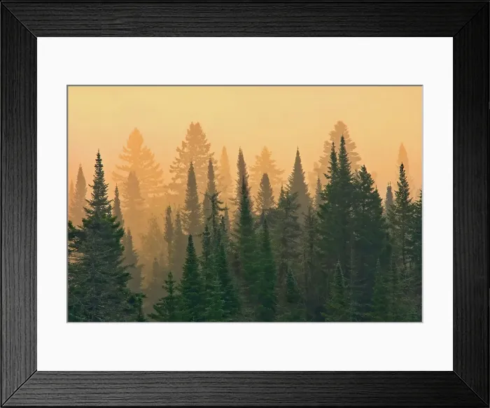 Framed Print : Fog at sunrise on Lac-Lajoie. Parc national du Mont-Tremblant, Quebec, Canada Framed Print : Fog at sunrise on Lac-Lajoie. Parc national du Mont-Tremblant, Quebec, Canada