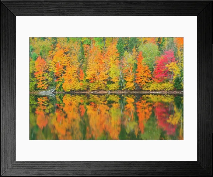 Framed Print : Autumn colors reflected in Lac Trudel. Great Lakes - St. Lawrence Forest Region. Saint-Mathieu-du-Parc, Quebec, Canada Framed Print : Autumn colors reflected in Lac Trudel. Great Lakes - St. Lawrence Forest Region. Saint-Mathieu-du-Parc, Quebec, Canada