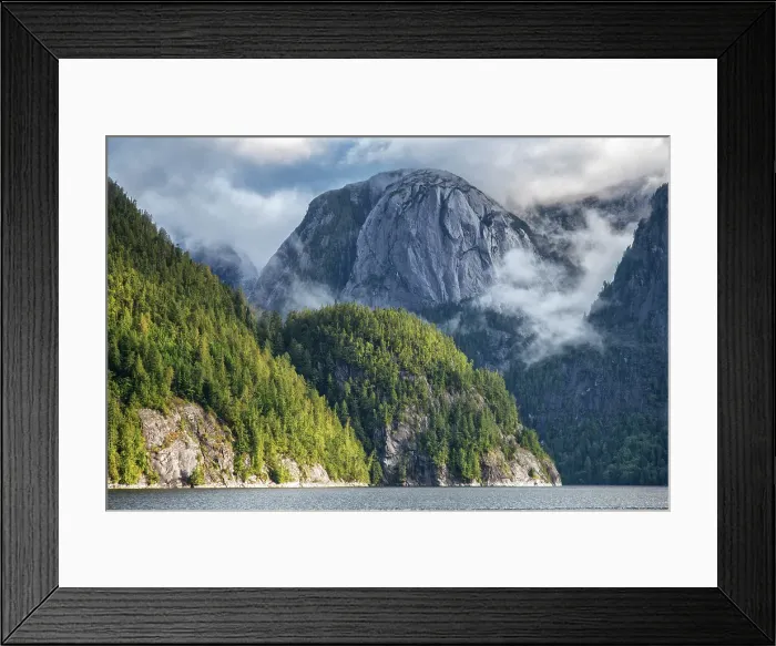 Framed Print : Canada, British Columbia, Central, Coast, Great Bear Rain Forest, Fiordland Conservancy Framed Print : Canada, British Columbia, Central, Coast, Great Bear Rain Forest, Fiordland Conservancy