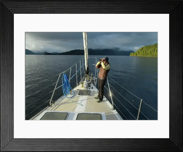 Framed Print : Canada, British Columbia, Central Coast, Great Bear Rain Forest, Is;land solitude, tour boat Framed Print : Canada, British Columbia, Central Coast, Great Bear Rain Forest, Is;land solitude, tour boat