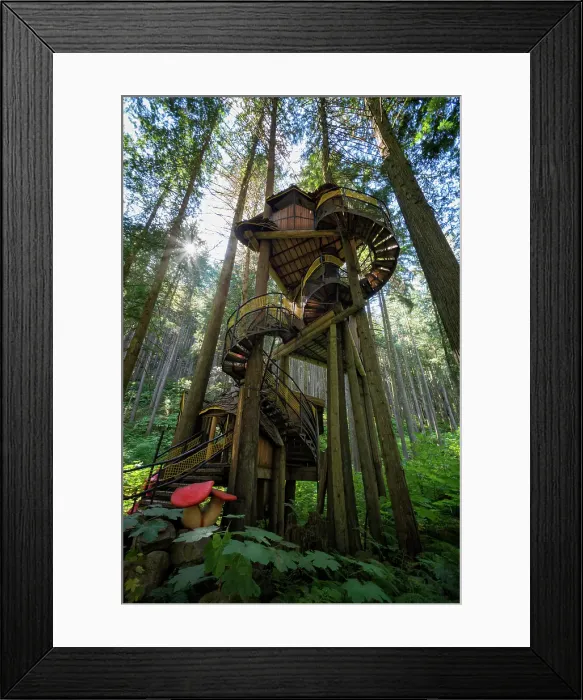 Framed Print : The Enchanted Forest, Revelstoke, British Columbia, Canada Framed Print : The Enchanted Forest, Revelstoke, British Columbia, Canada