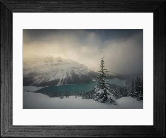 Framed Print : Peyto Lake, Banff National Park, Canada Framed Print : Peyto Lake, Banff National Park, Canada