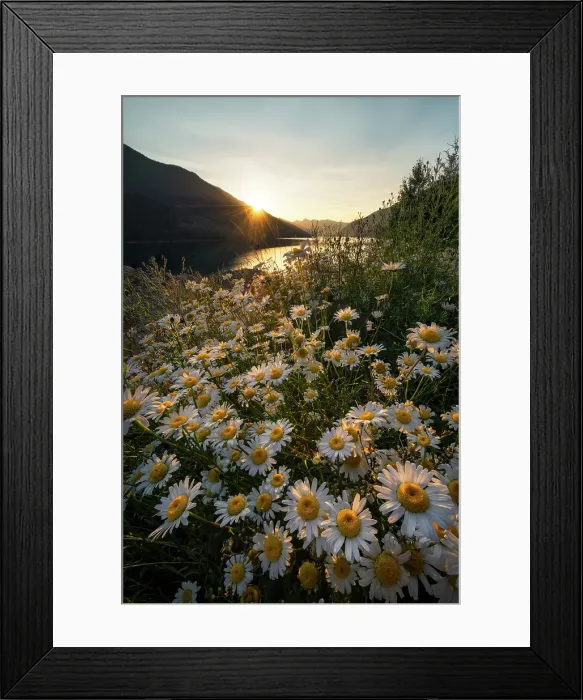 Framed Print : Revelstoke, British Columbia, Canada Framed Print : Revelstoke, British Columbia, Canada