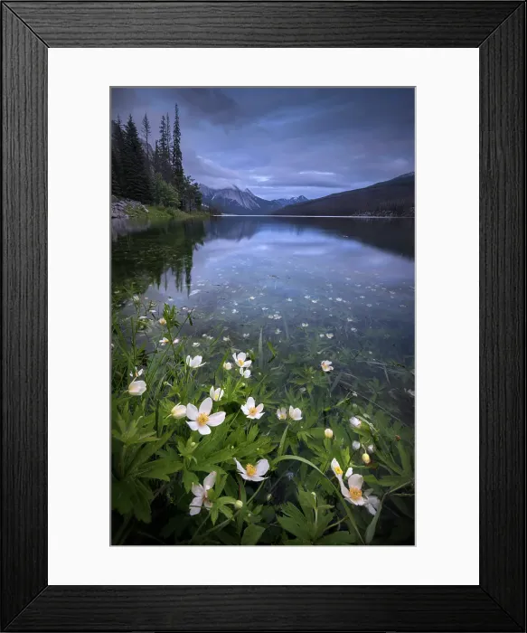 Framed Print : Medicine Lake, Jasper National Park, Alberta, Canada