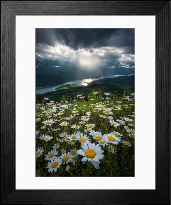 Framed Print : Revelstoke, British Columbia, Canada Framed Print : Revelstoke, British Columbia, Canada