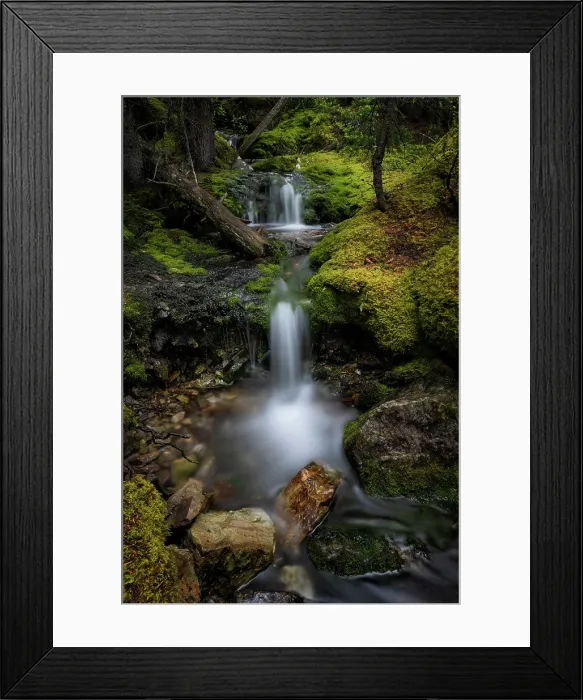 Framed Print : Lake O'Hara, British Columbia, Canada Framed Print : Lake O'Hara, British Columbia, Canada
