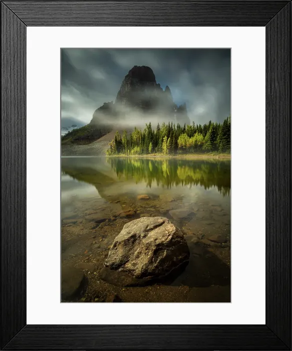 Framed Print : Catkins, Salmon Arm, British Columbia, Canada Framed Print : Catkins, Salmon Arm, British Columbia, Canada