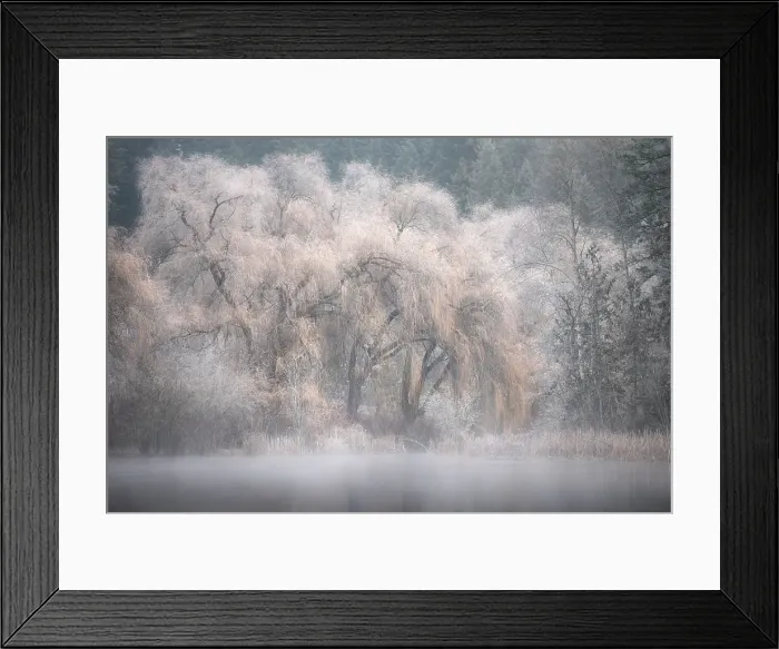 Framed Print : Hoar forst, Gardom Lake, Shuswap, British Columbia, Canada Framed Print : Hoar forst, Gardom Lake, Shuswap, British Columbia, Canada
