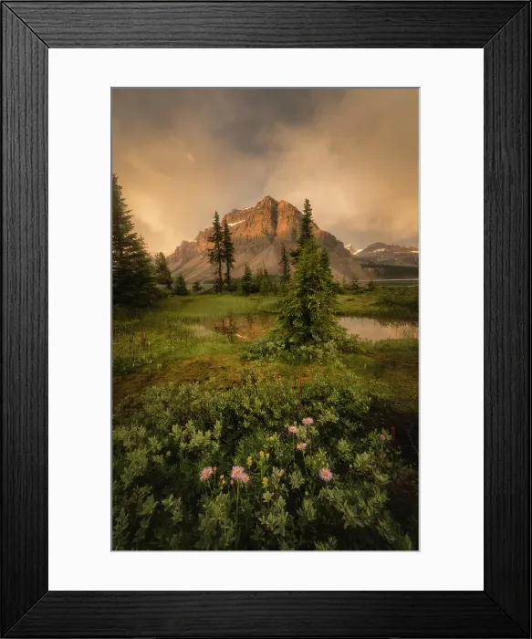 Framed Print : Bow Lake, Banff National Park, Alberta, Canada Framed Print : Bow Lake, Banff National Park, Alberta, Canada