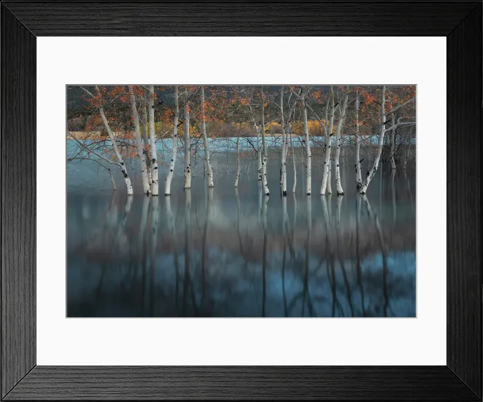 Framed Print : Abraham Lake, Clearwater County, Alberta, Canada Framed Print : Abraham Lake, Clearwater County, Alberta, Canada