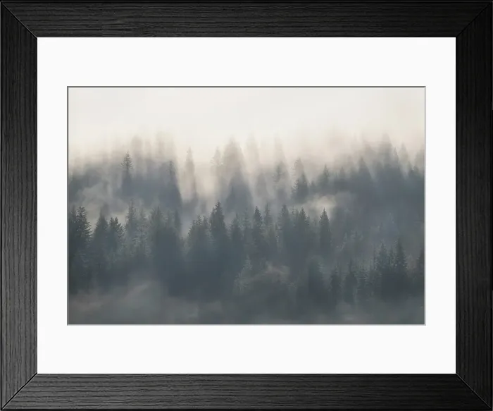 Framed Print : Revelstoke, British Columbia, Canada Framed Print : Revelstoke, British Columbia, Canada