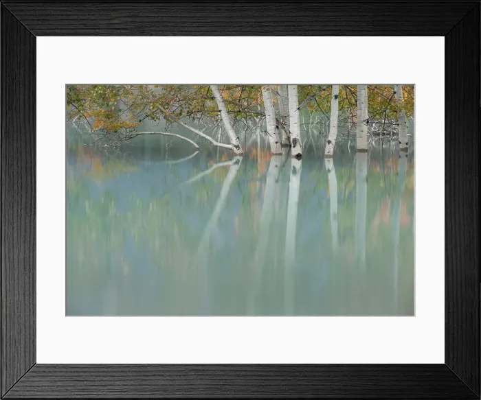 Framed Print : Abraham Lake, Clearwater County, Alberta, Canada Framed Print : Abraham Lake, Clearwater County, Alberta, Canada