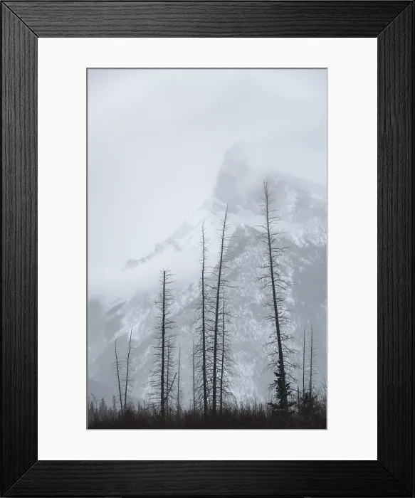 Framed Print : Vermillion Lake, Banff National Park, Alberta, Canada Framed Print : Vermillion Lake, Banff National Park, Alberta, Canada