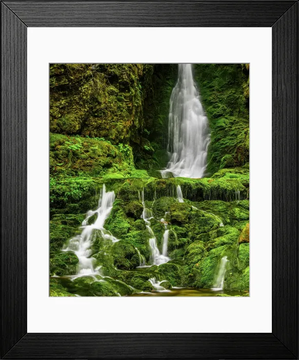 Framed Print : Dickson Brook, Fundy National Park, New Brunswick, Canada Framed Print : Dickson Brook, Fundy National Park, New Brunswick, Canada