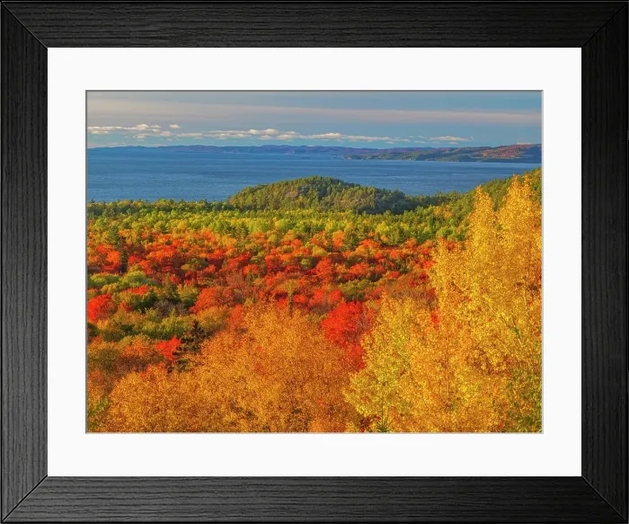 Framed Print : Autumn colour at Montreal Harbour on Lake Superior, Ontario, Canada
