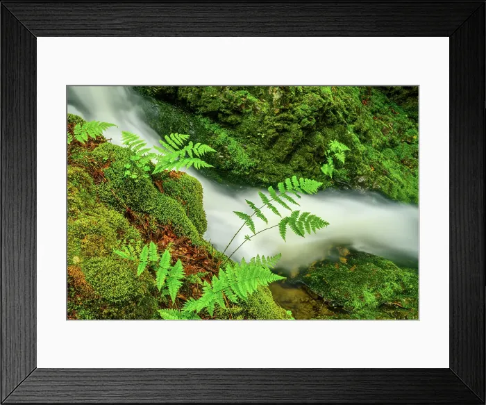 Framed Print : Dickson Creek waterfalls, Fundy National Park, New Brunswick, Canada Framed Print : Dickson Creek waterfalls, Fundy National Park, New Brunswick, Canada