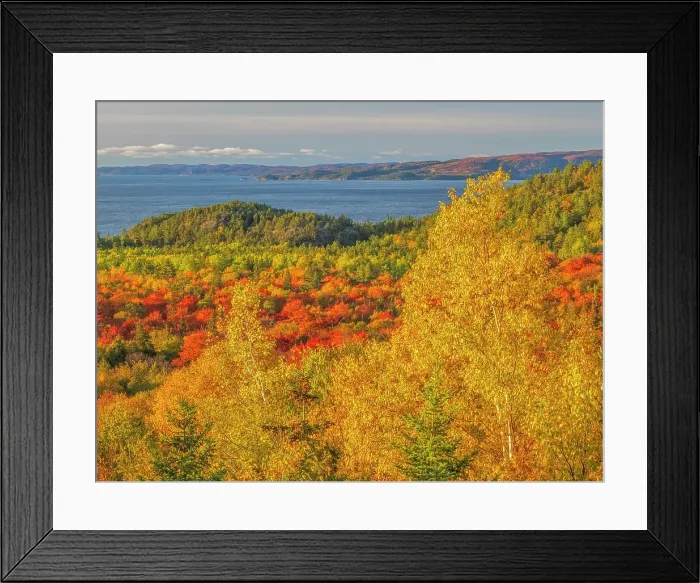 Framed Print : Autumn colour at Montreal Harbour on Lake Superior, Ontario, Canada