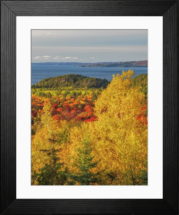 Framed Print : Autumn colour at Montreal Harbour on Lake Superior, Ontario, Canada