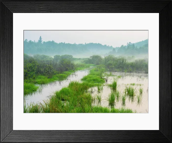Framed Print : A recently drained beaver pond after sunset, Greater Sudbury, Ontario, Canada Framed Print : A recently drained beaver pond after sunset, Greater Sudbury, Ontario, Canada