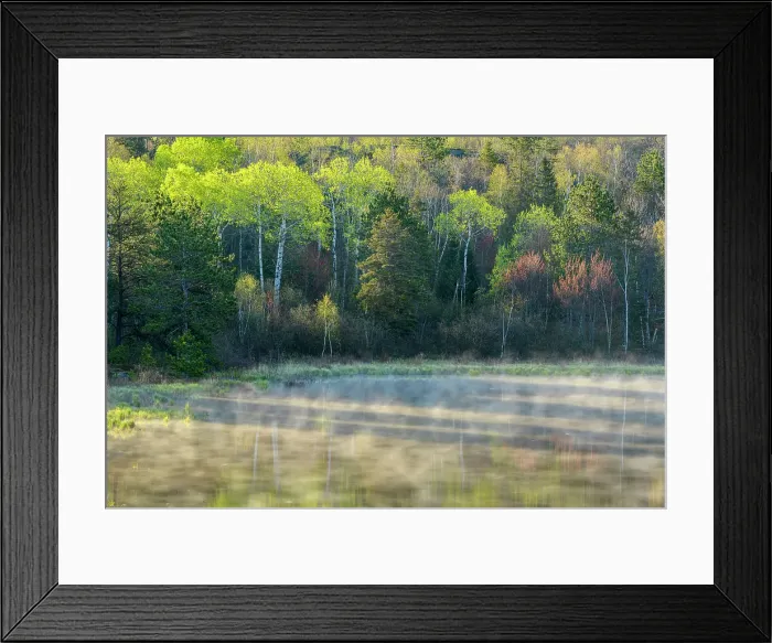 Framed Print : Spring reflections in a beaver pond, Greater Sudbury, Ontario, Canada Framed Print : Spring reflections in a beaver pond, Greater Sudbury, Ontario, Canada