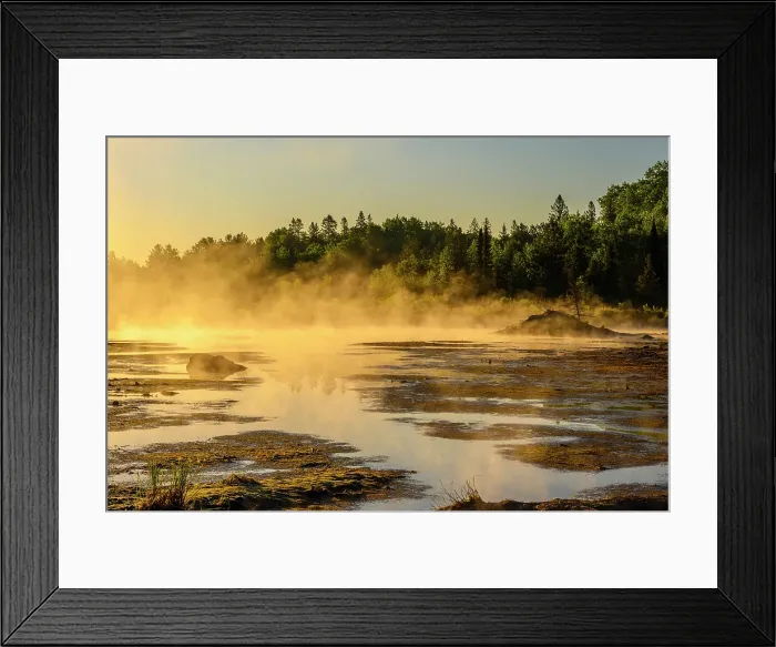 Framed Print : A drained beaver pond, Greater Sudbury, Ontario, Canada Framed Print : A drained beaver pond, Greater Sudbury, Ontario, Canada