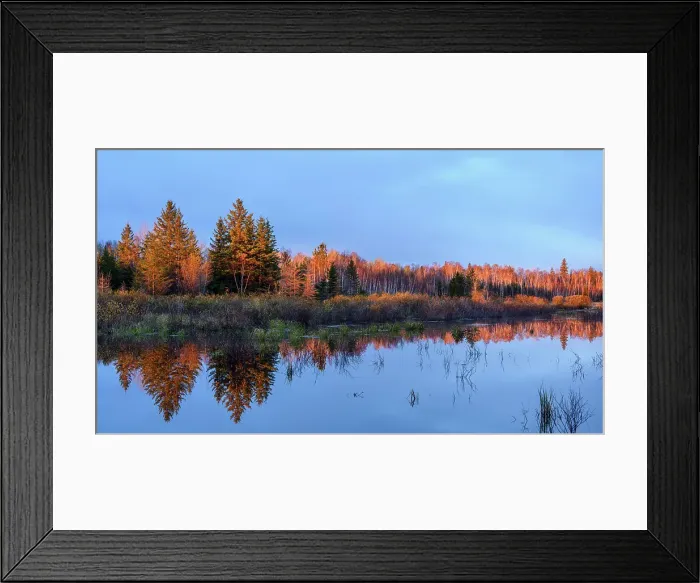 Framed Print : Sunrise reflections in a beaver pond in early spring, Greater Sudbury, Ontario, Canada Framed Print : Sunrise reflections in a beaver pond in early spring, Greater Sudbury, Ontario, Canada
