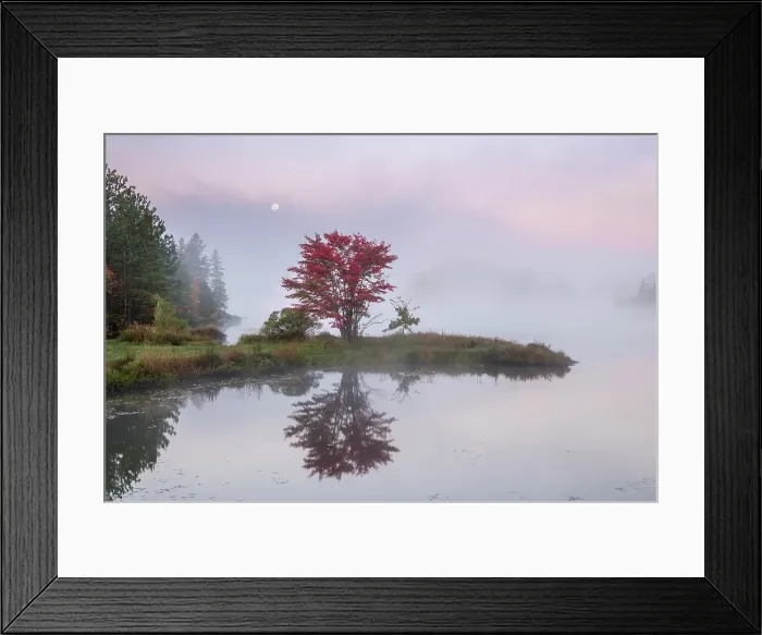 Framed Print : Autumn reflections and setting moon in St. Pothier Lake at dawn, Greater Sudbury, Ontario, Canada Framed Print : Autumn reflections and setting moon in St. Pothier Lake at dawn, Greater Sudbury, Ontario, Canada