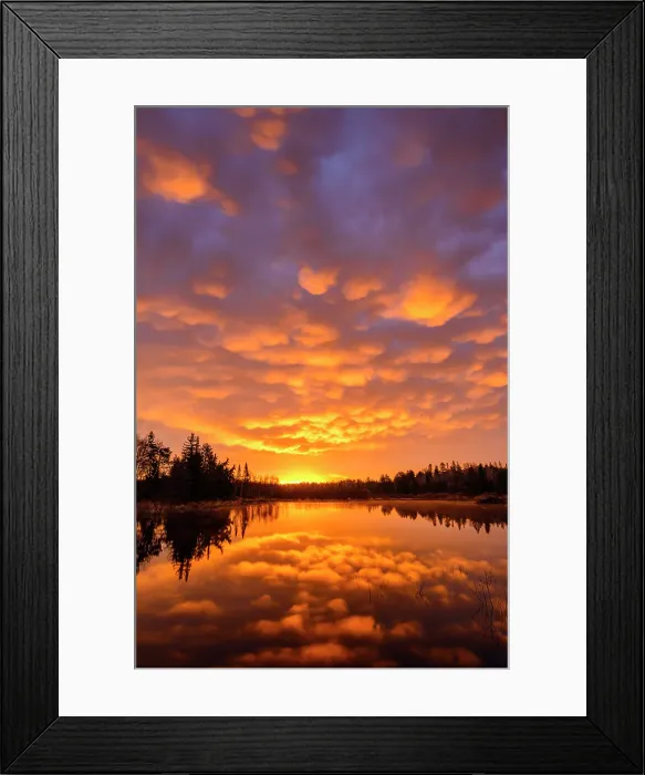 Framed Print : Pre-dawn reflections in a beaver pond in early spring, Greater Sudbury, Ontario, Canada Framed Print : Pre-dawn reflections in a beaver pond in early spring, Greater Sudbury, Ontario, Canada