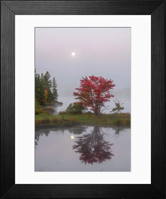 Framed Print : Autumn reflections and setting moon in St. Pothier Lake at dawn, Greater Sudbury, Ontario, Canada Framed Print : Autumn reflections and setting moon in St. Pothier Lake at dawn, Greater Sudbury, Ontario, Canada