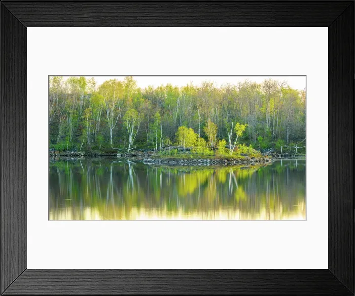 Framed Print : Early spring reflections in Mud Lake, Greater Sudbury, Ontario, Canada